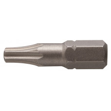 Биты TORX 30, 25 мм, сталь S2, 2 шт. HT1S366 HOEGERT Биты TORX 30, 25 мм, сталь S2, 2 шт. HT1S366 HOEGERT